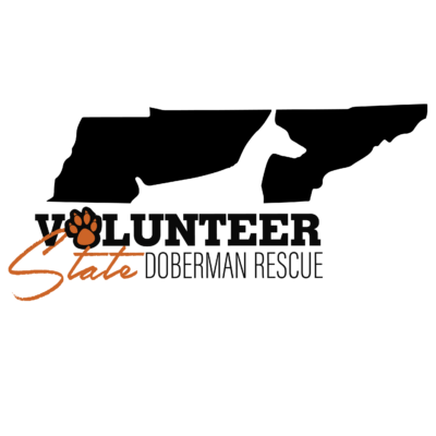 Logo Transparant BG
