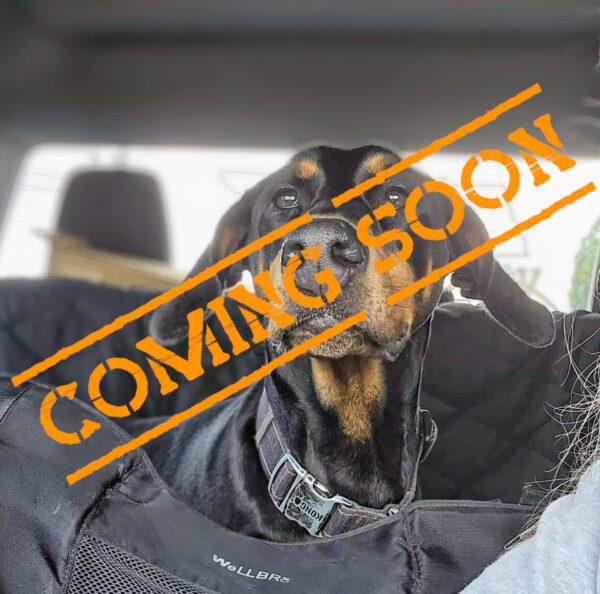 Roxycomingsoon Roxy