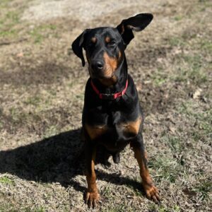 received_767919209374569