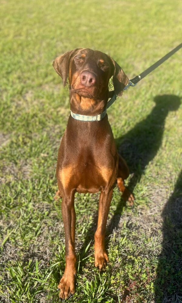 received_1650277752889316