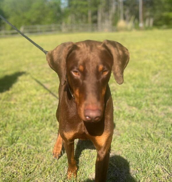 received_1931629374131742