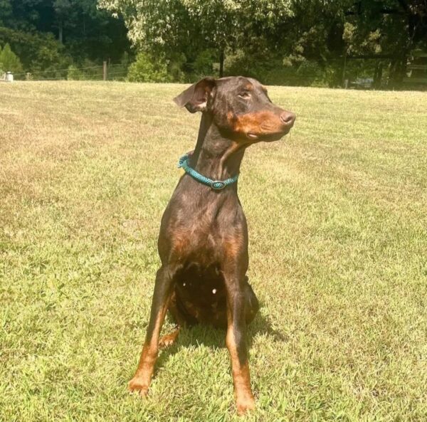 Ethel